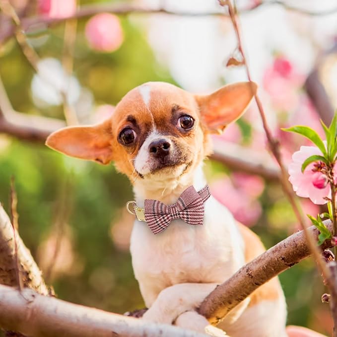 Beirui Cute Extra Small Dog Harness Collar and Leash Set with Bowtie, Soft Adjustable Plaid Puppy Harness for Small Sized Dogs Cats Walks Parties and Photoshoots(Maroon,XXS:Chest 12-14")