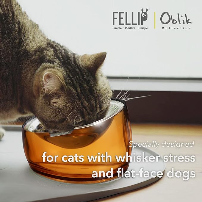 Felli Pet Oblik Anti Whisker Fatigue & Regurgitation Raised Cat Food Water Bowl, Tilted Stainless Steel Shallow Dish Dishwasher Easy Clean, Elevated Dry Wet Metal Feeder Slanted Plate (0.5Cups, Gold)