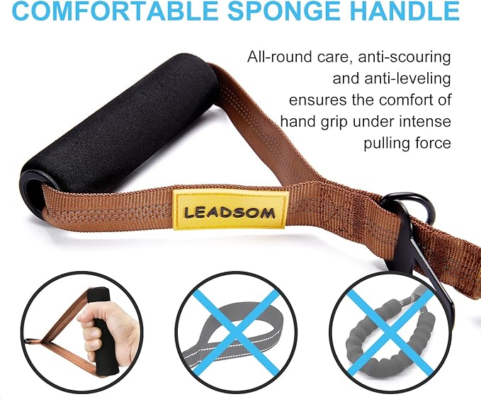 6FT Highly Reflective Heavy Duty Elastic Bungee Medium and Large Dog Leash Shock Absorbing with Comfortable Padded Handle and Traffic Handle Suitable for Training