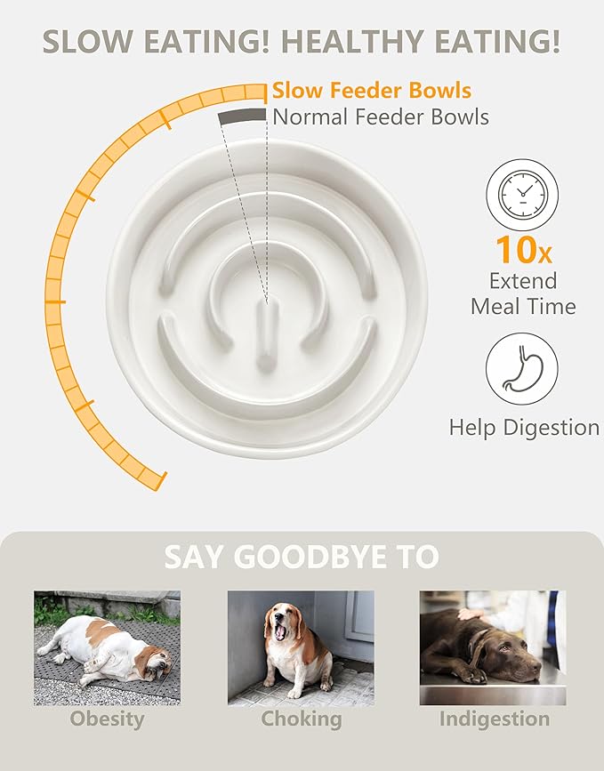 Ceramic Slow Feeder Bowls for Large Dogs, 3.0 Cups Slow Feeder for Fast Eaters, 48oz, 10in, White