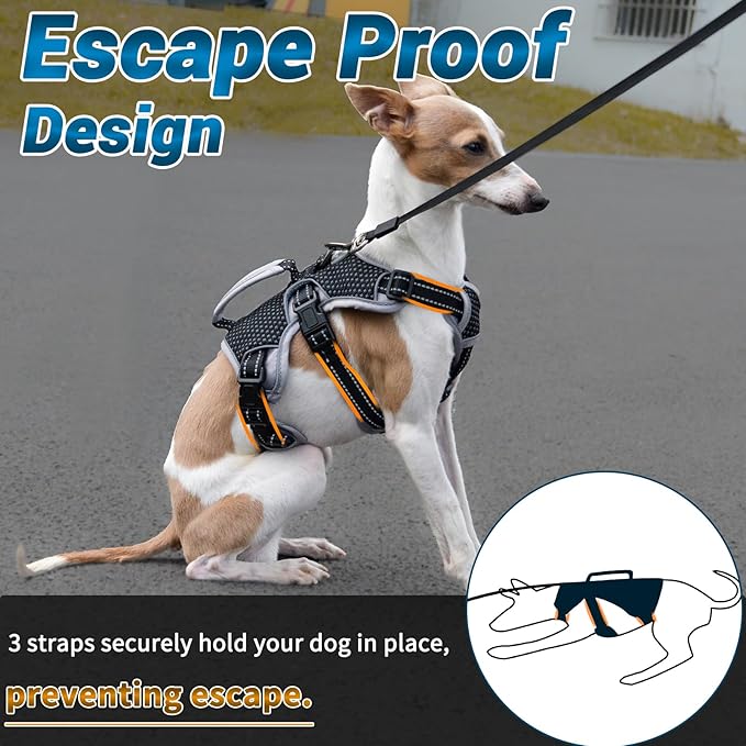 BELPRO Multi-Use Support Dog Harness, Escape Proof No Pull Reflective Adjustable Vest with Durable Handle, Dog Walking Harness for Big/Active Dogs (Black, M)