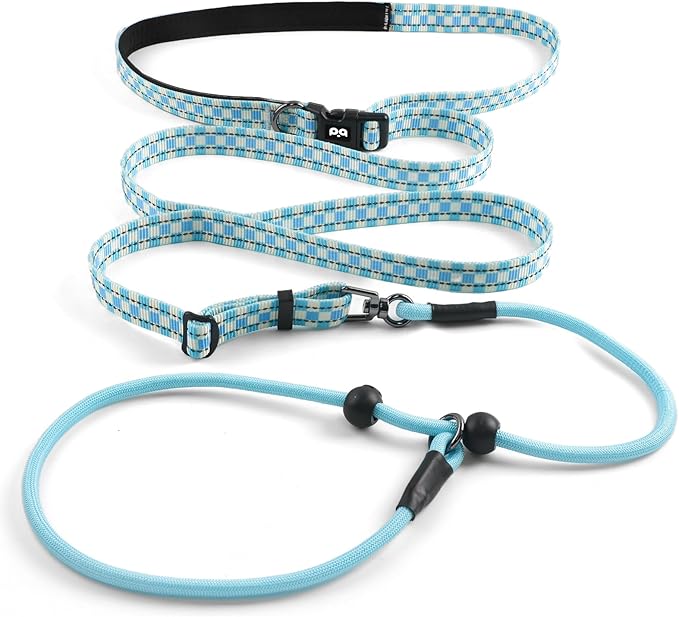 QQPETS Adjustable Slip Lead Dog Leash, Hands Free Waist Leash for Dog Walking, Reflective Training Lead with 360° Swivel Anti-Tangle, 4-7 ft Length for All Breeds