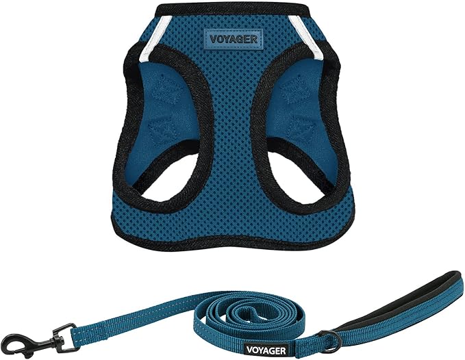 Voyager Step-in Air All Weather Mesh Harness and Reflective Dog 5 ft Leash Combo with Neoprene Handle, for Small, Medium and Large Breed Puppies by Best Pet Supplies - Blue/Black Trim, X-Large