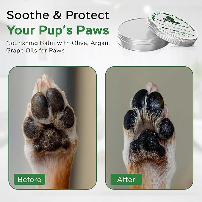 Dog Essentials Starter Kit - Dog Lovers Gift Box with Pet Wipes, Paw Balm, Dental Teeth Cleaning Wipes and Poop Bags Set - Complete Dog Care for Travel & Camping