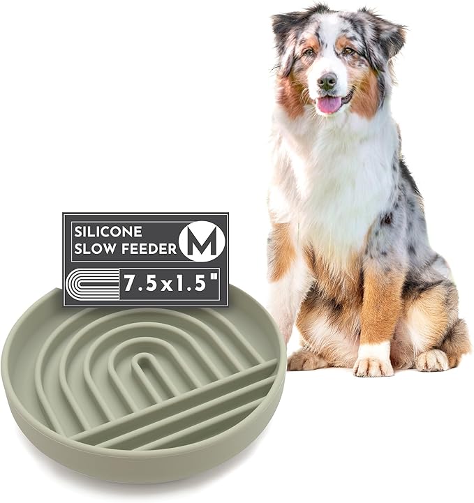 Should We Go? Slow Feeder for Dogs & Puppies, The Slowdown Bowl Silicone Slow Eating, Modern Lick Mat Design, Reduces Gulping, Fits 2 Cups, 7.5” Across x 1.5” Tall, Mealtime Challenge, Medium-Sage