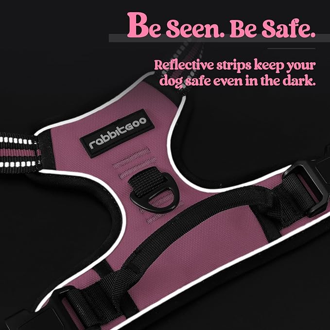 rabbitgoo Dog Harness No Pull with 2 Leash Clips, Adjustable Soft Padded, Reflective Oxford No Choke Pet Vest with Easy Control Handle for Large Dogs, Pink, L