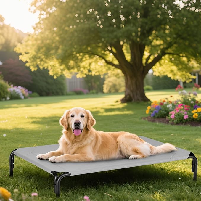 Elevated Dog Bed for Outdoor, Medium Raised Dogs Cot for Training, Cooling Pet Beds with Washable Mesh, Indestructible Lifted Platform for Outside Camping, 35 inch Grey