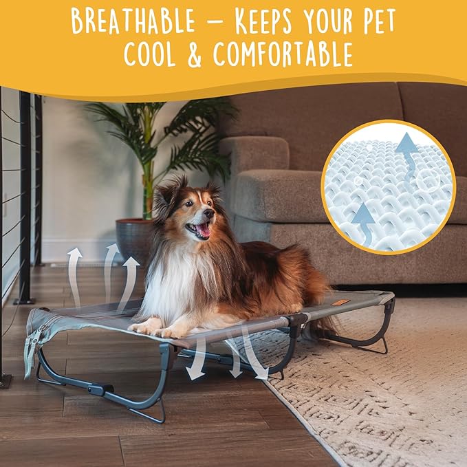 Daisy Cot, Medium Foldable Elevated Dog Bed, Portable Raised Outdoor Folding Dog Cot, Cooling, Chew Proof, Waterproof, Heavy Duty Up to 160 lbs for Camping/Home, Grey, 32"x 19"x6"