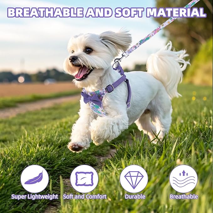 PUPTECK Dog Harness and Leash Set Small Sized, Step-in Cute Puppy Harness, Soft Lightweight Padded Vest, Escape Proof No Pull Pet Harnesses Easy for Walking, Flower Purple, XXS