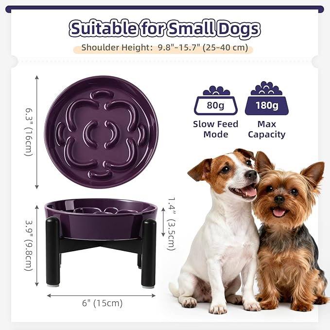 Elevated Slow Feeder Dog Bowl - Ceramic Maze Dog Food Bowl with Stainless Stand - Raised Slow Feeder for Small Breeds to Control Eating Speed - 6.3 Inch - 0.8 Cups (80g) - Purple