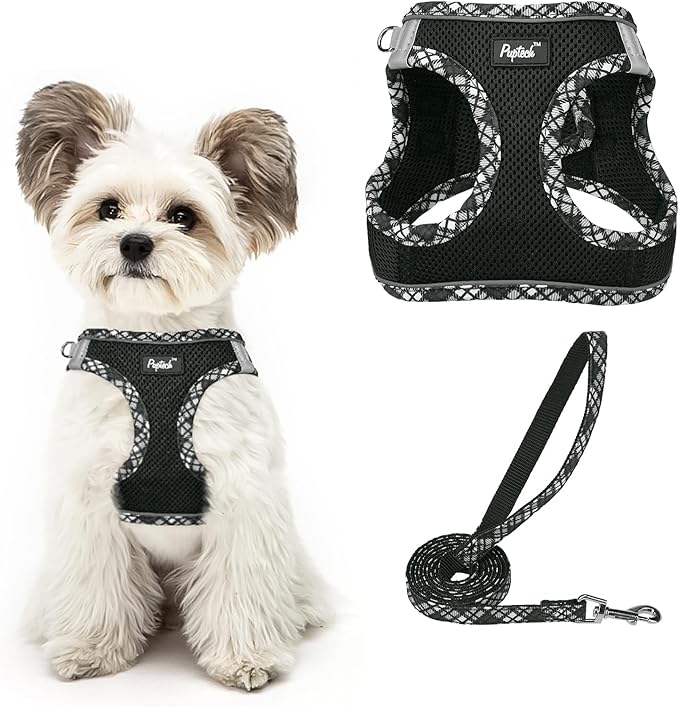 PUPTECK Dog Harness and Leash Set for Small Medium Dogs No Pull Step-in Soft Mesh Puppy Cat Vest Harnesses Reflective at Night, Upgraded New Black XS