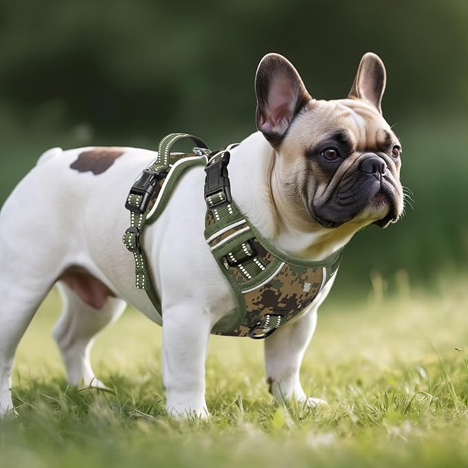Timos Dog Harness Small Sized,No Pull Dog Harness Adjustable Metal Rings 3 Buckles,Reflective No Choke with Easy Control Handle for Small Dogs,Military Green S