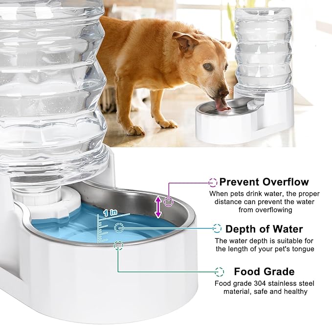 RIZZARI Large Gravity Water Dispenser: 8L Automatic Stainless Steel Dog Water Feeder with Specialized Brush and Triple Filter for Senior Pets with Spinal Problems - for Kitchen Living Room