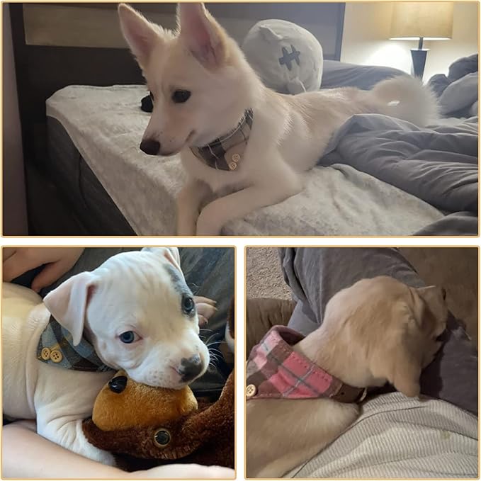 BINGPET Bow Tie Dog Collar with Leash Set - Cute Adjustable Classic Plaid Dog Bandana Collar with Bell, Fit for Medium Dogs, Puppies and Cats Outdoor Walking