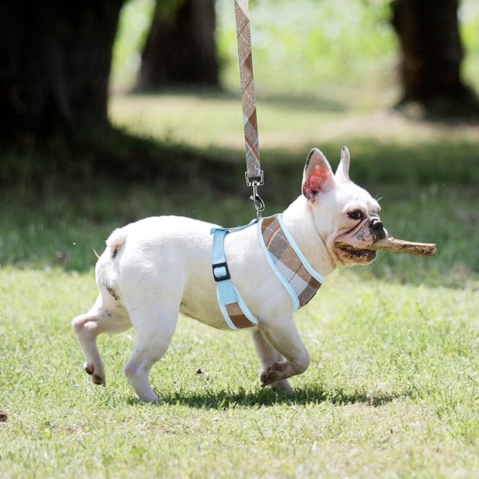 PUPTECK Soft Mesh Dog Harness and Leash Set Pet Puppy Cat Comfort Padded Vest No Pull Harnesses, Blue&Brown, XL