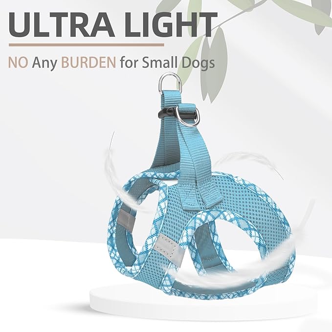 PUPTECK Dog Harness and Leash Set for Small Medium Dogs No Pull Step-in Soft Mesh Puppy Cat Vest Harnesses Reflective at Night, Sky Blue, S