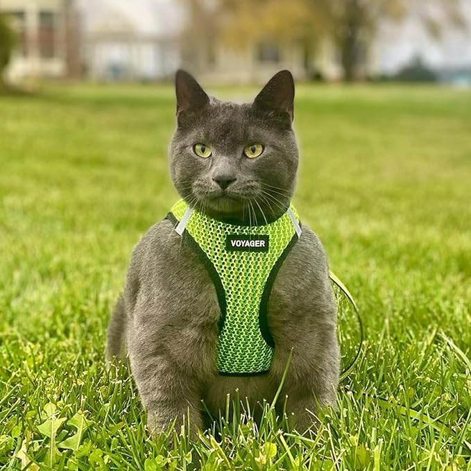 Voyager Step-in Air All Weather Mesh Harness and Reflective Dog 5 ft Leash Combo with Neoprene Handle, for Small, Medium and Large Breed Puppies by Best Pet Supplies - Lime Green (2-Tone), XS