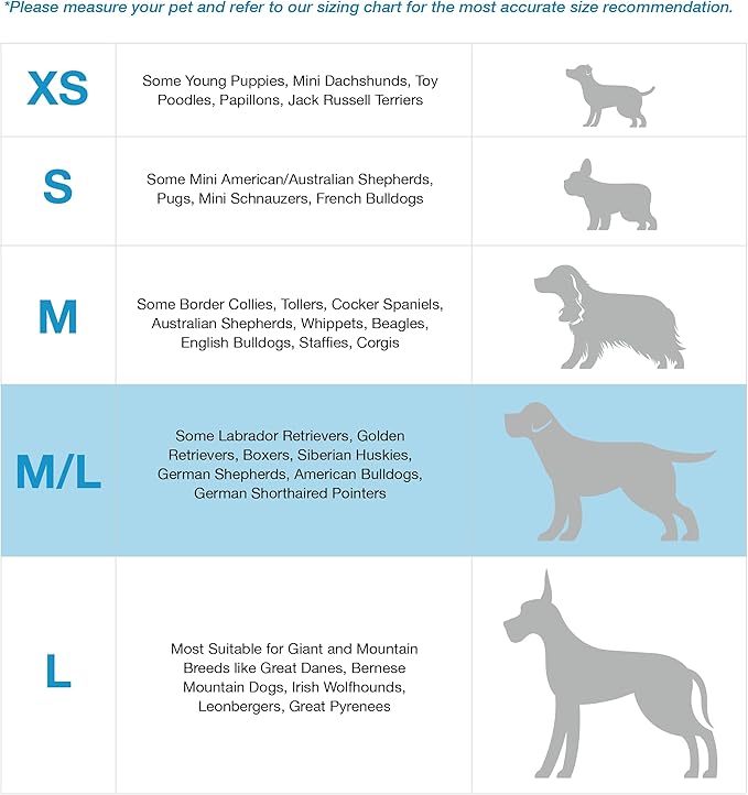 Blue-9 Buckle-Neck Balance Harness, Fully Customizable Fit No-Pull Harness, Ideal for Dog Training and Obedience, Made in The USA, Orange, Medium/Large