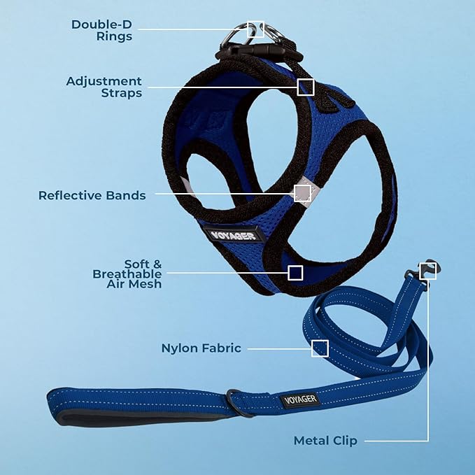 Voyager Step-in Air All Weather Mesh Harness and Reflective Dog 5 ft Leash Combo with Neoprene Handle, for Small, Medium and Large Breed Puppies by Best Pet Supplies - Royal Blue/Black Trim, Medium