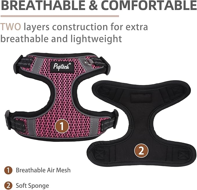 PUPTECK Dog Harness and Leash Set Small Sized, Step in No Pull Adjustable Puppy Cat Harness Reflective Pet Vest