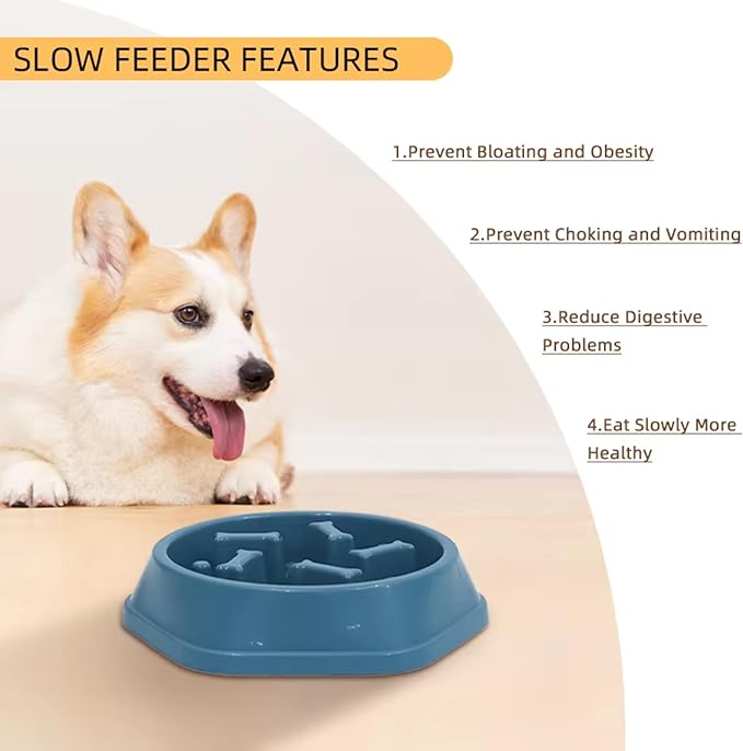 Dog Slow Feeder Bowl for Small & Medium Dogs – Anti-Choking, Non-Slip Plastic Slow Eating Dog & Cat Bowls – Puppy Bowl, Cat Food Bowl, Pet Feeder, 8.86in – Helps Prevent Bloating & Choking (Green)