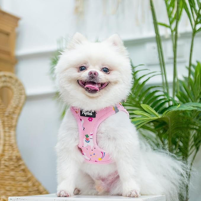 PUPTECK Adjustable Dog Harness Collar and Leash Set, Step in No Pull Pet Harness for Small Medium Dogs Puppy Cats Outdoor Walking, Soft Mesh Padded Reflective Vest Harnesses, Light Pink Alpaca, S