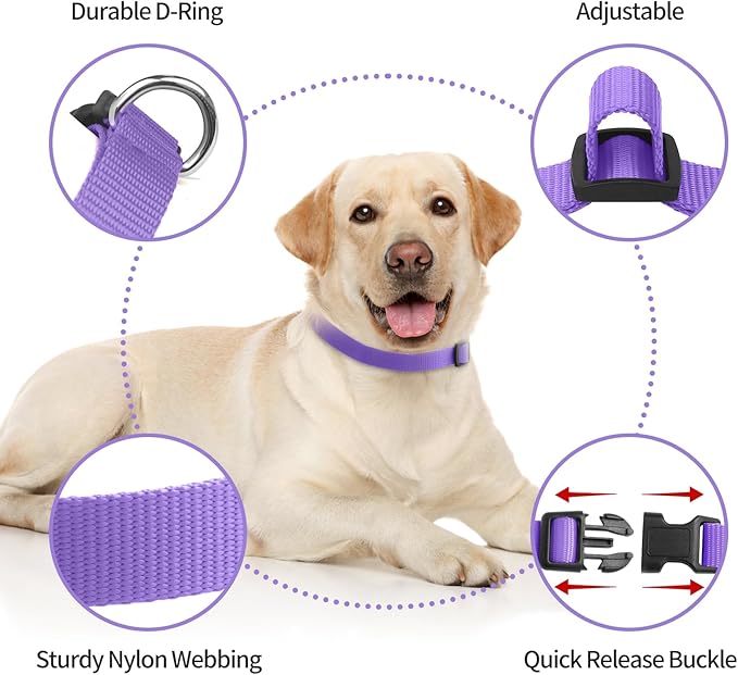 Replacement Collar for Shock Collar, Stylish & Comfortable Nylon Dog Collar with Quick Release Buckle, Compatible with PetSafe Bousnic Sportdog Garmin Ecollar Replacement Strap (Purple & Blue)