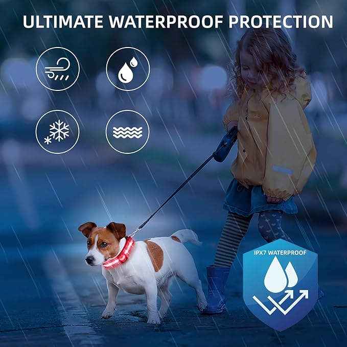 Super Bright LED Dog Collar - Fully Waterproof & Adjustable Glow Collar - USB-C Rechargeable for Night Walking, Safety - Flashing Lighted Collar for Dogs(Red,Large)