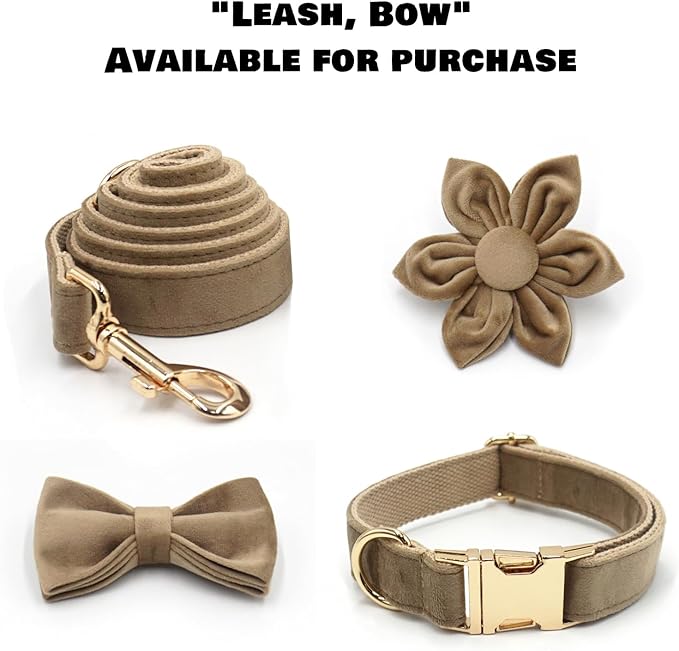 Velvet Personalized Dog Collar with Name - Customizable Dog Collar with Quick Release Metal Buckle - Leash and Bow Tie Available (Warm Gray, XS)