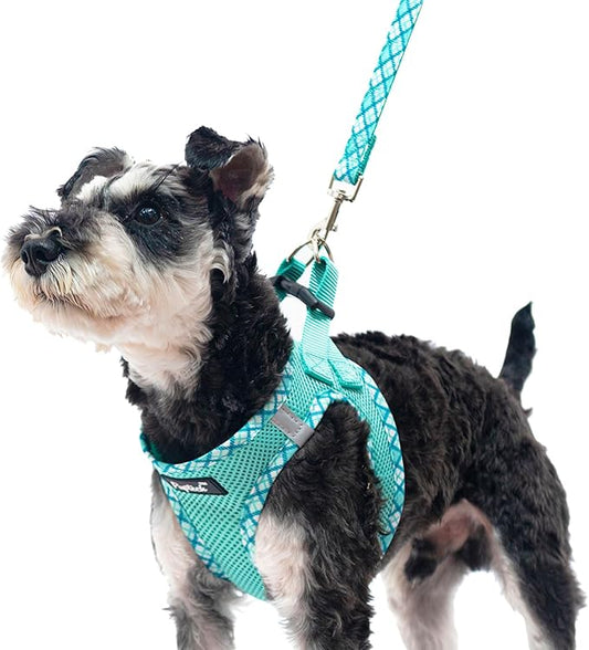PUPTECK Dog Harness and Leash Set for Small Medium Dogs No Pull Step-in Soft Mesh Puppy Cat Vest Harnesses Reflective at Night, Green XS