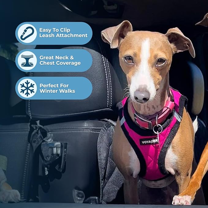 Best Pet Supplies - All Weather Mesh/Plush, Reflective, No Pull Harness for Small, Medium Dogs, Cats - Secure with Hook & Loop Fastener, Buckle, Double D-Rings - Red Rose Plush, XL