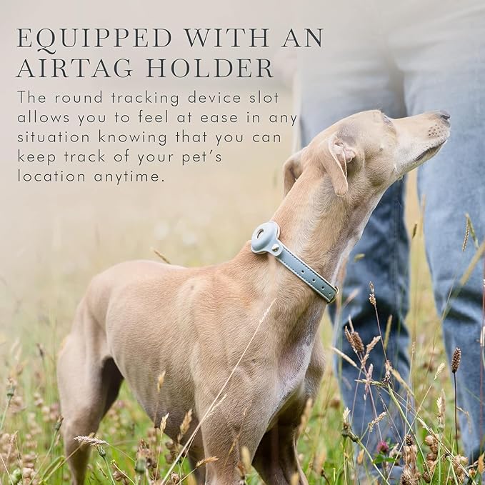 NINA WOOF Cupertino Dog Collars, Harnesses & Leashes Made from Vegan Leather with Dog Tracker Device Holder Adjustable Dog Collar - Color Blue, Large