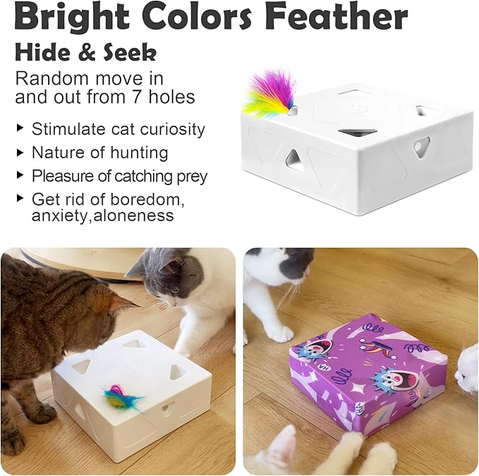 Interactive Cat Toys -Migibox for Indoor Bored Cats, Automatic Pop Out Feathers from 7 Holes Randomly, Motion Activated, USB Rechargeable (Purple Skin)
