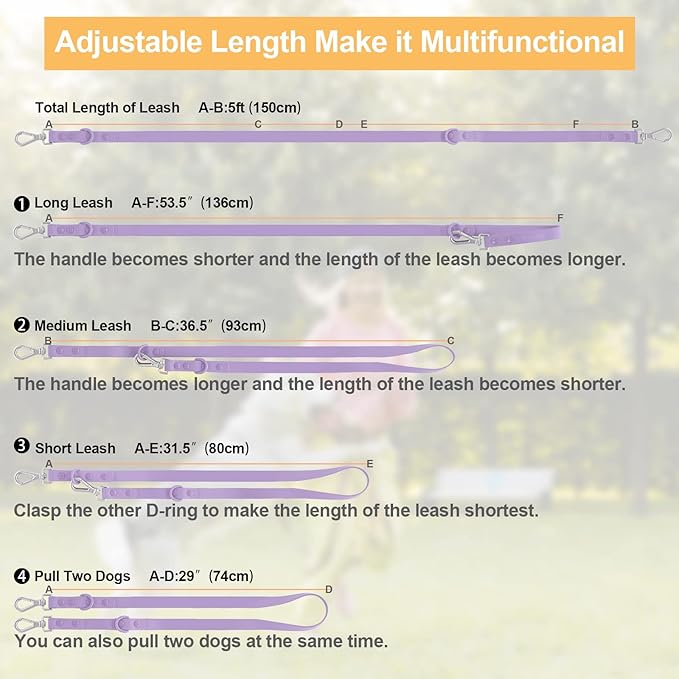 Wisedog Waterproof Dog Leash – 5ft/6ft Adjustable with 2 Metal Swivel Hooks, Easy to Clean Dog Leashes for Small, Medium, Large Breed Dogs (Lilac M)