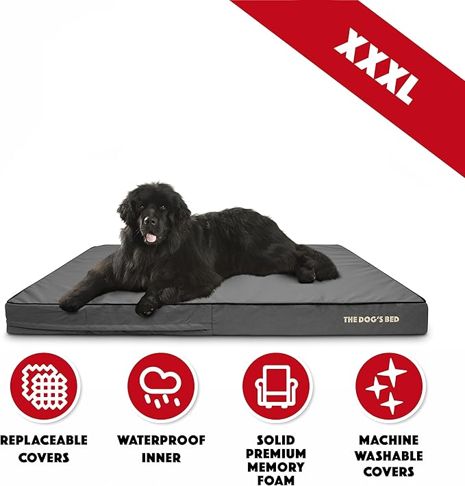 The Dog’s Bed Orthopedic Memory Foam Dog Bed, XXXL Grey & Black, Waterproof, Supportive Dog Bed with Replaceable Covers, Veterinary Approved
