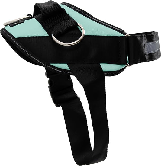 ShawnCo Essential Dog Harness, No-Pull Pet Vest with 3 Leash Clips, No Choke, Reflective, Adjustable and Padded, for Easy Walking and Training for Small, Medium and Large Dogs (Seafoam, L)