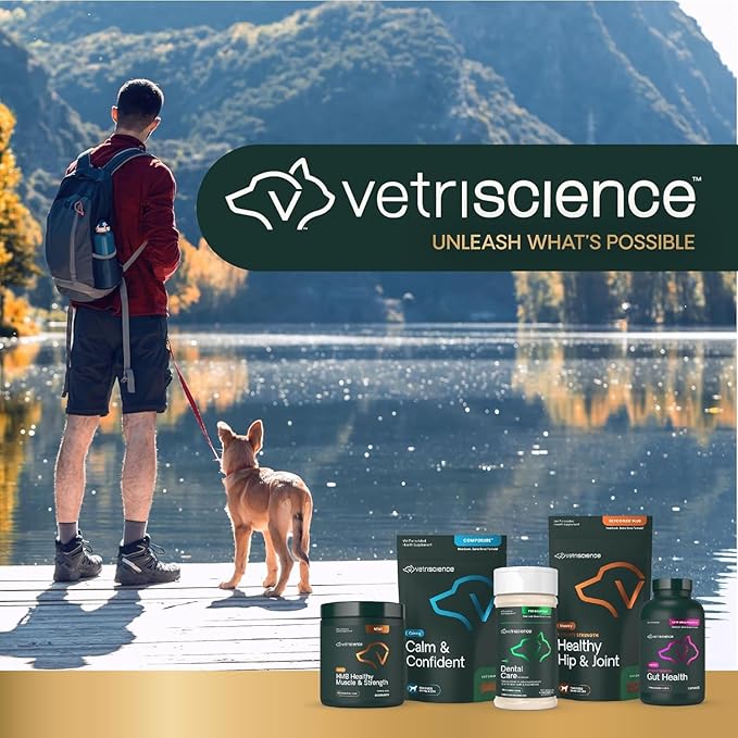 VetriScience Healthy Mouth Dog Dental Powder, 2Pack – Helps Reduce Plaque & Tartar Buildup, Support Clean Teeth & Fresh Breath, Vet-Formulated Oral Care Powder for Dogs Cats, NASC Certified, 2 x 4.2oz