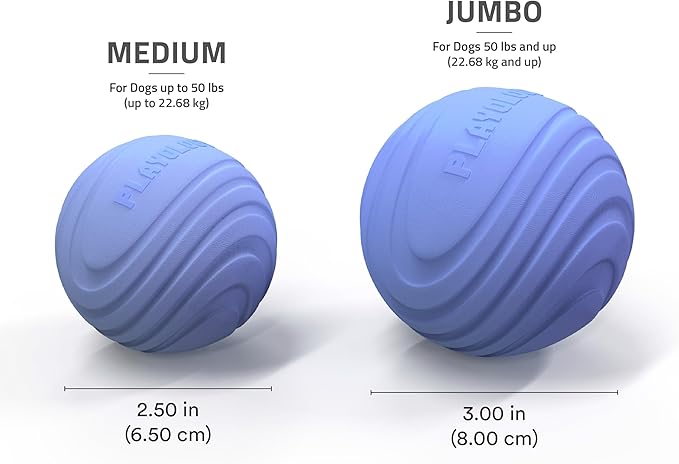 Playology Dog Toys | Dual Layer Ball Durable Chew Toy for Aggressive Chewers | Medium Blueberry Scented Toy - Easy to Clean and Made from Non Toxic Materials