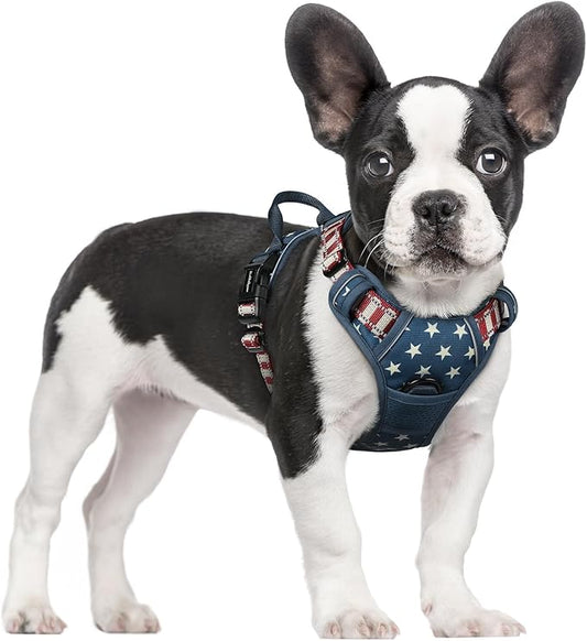 rabbitgoo Dog Harness No Pull with 2 Leash Clips, Adjustable Soft Padded, Reflective Oxford No Choke Pet Vest with Easy Control Handle for Large Dogs, Blue Star, S