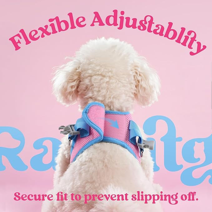 rabbitgoo Dog Harness Small Sized and Leash Set, Step-in Breathable Pet Harness, Soft Walking Reflective Puppy Vest for Small Dogs, Pink & Light Blue, XXS