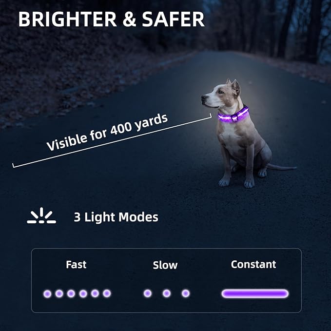 Super Bright LED Dog Collar - Fully Waterproof & Adjustable Glow Collar - USB-C Rechargeable for Night Walking, Safety - Flashing Lighted Collar for Dogs(Purple,Large)