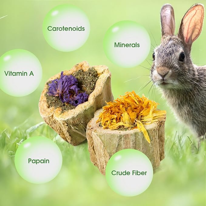 Abizoo Rabbits Chew Toys Organic Papaya Wood for Guinea Pigs Chinchillas Hamsters Small Animals Treats with Calendula Forget Me Nots and Alfalfa Hay Dental & Digestive Support No Additives 4.23oz/120g