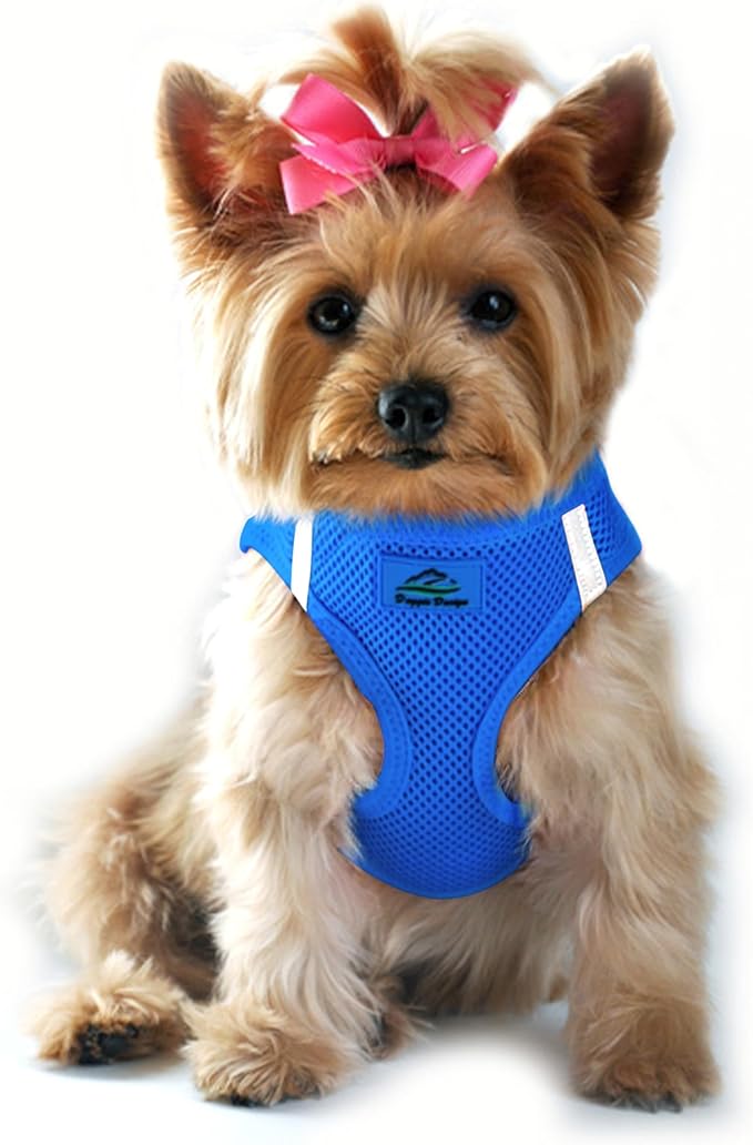 Doggie Design Dog Harness - No Choke Dog Harness, Dog Vest, Mesh Polyester, Pet Harness, Simple Step in and Go Design, Harness for Dog - Cobalt Blue, XS