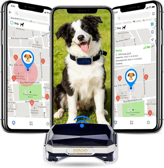 Smart GPS Dog Tracker, Live Pet Tracker, Virtual Fence, 10-Day Battery Life, Tensile Dog Collar, IP67 Water-Resistant, Easy Operation via Proprietary APP, Anti-Lost Tracking Device