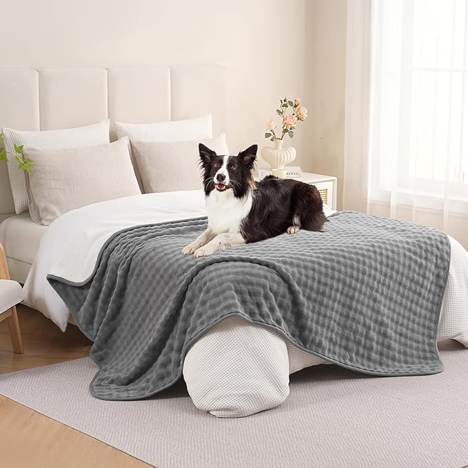 Waterproof Blanket for Bed Couch Sofa Car, Soft Leakproof Dog Blanket with 3D Bubble Pattern, Reversible Water Proof Pet Blankets for Dogs Cats Puppies (60"x80", Grey)