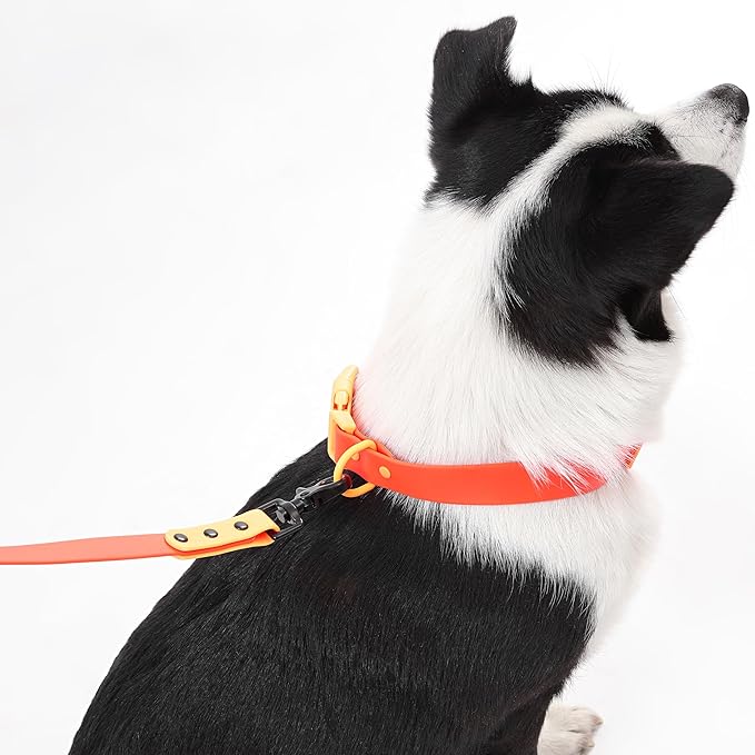 WLK1006A-5SET Luna Large 8FT Adjustable 6-in-1 Waterproof Hands-Free Leash and Collar with LED Flashlight, Bag Dispenser, and Poop Bag Holder, Aperol