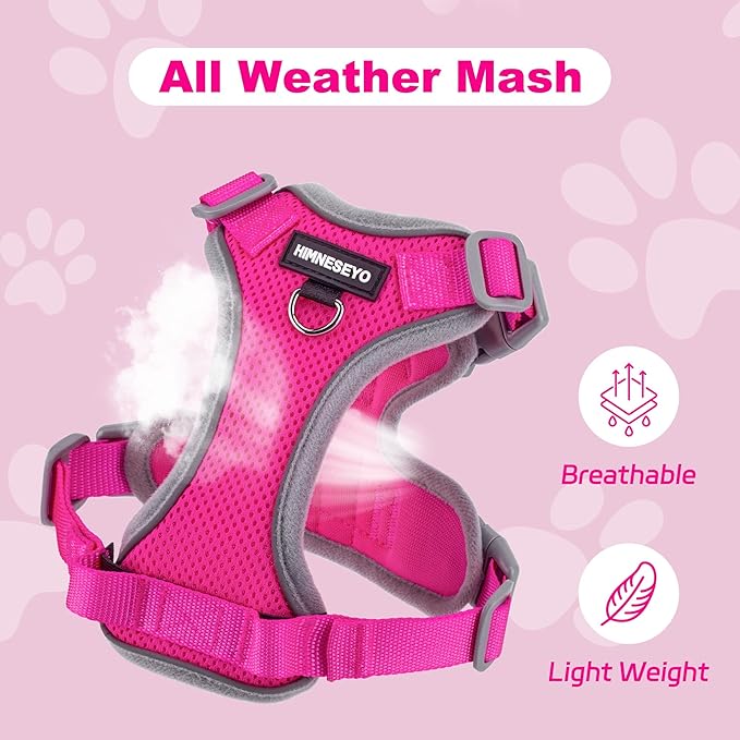 Small Dog Harness and Leash Set, No Pull Adjustable Pet Harness for Small Dogs, Breathable Mesh Rflective Dog Vest Harness (Rose Red, S)
