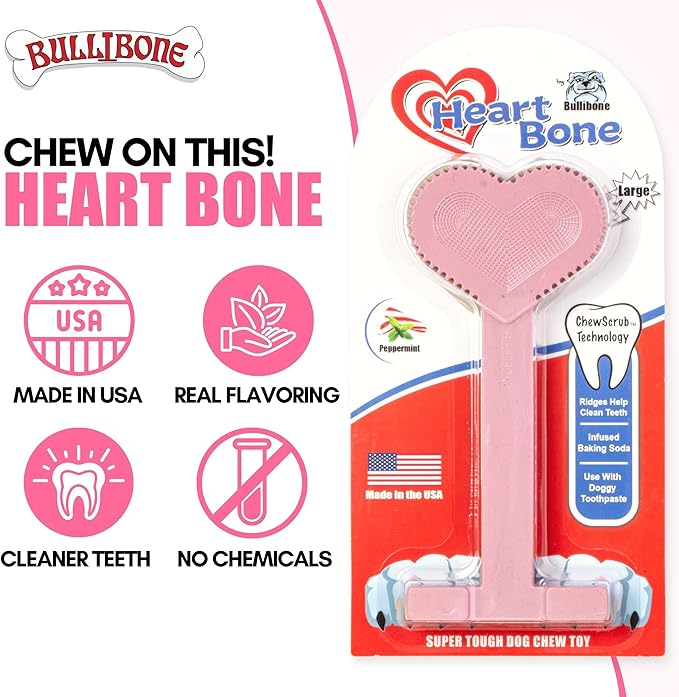 Bullibone Nylon Dog Chew Toy for Aggressive Chewers - Dental Hygiene Bone with Peppermint Flavor, Durable Tough Chew Toys for Large Dogs, Indestructible Dog Bone - Single