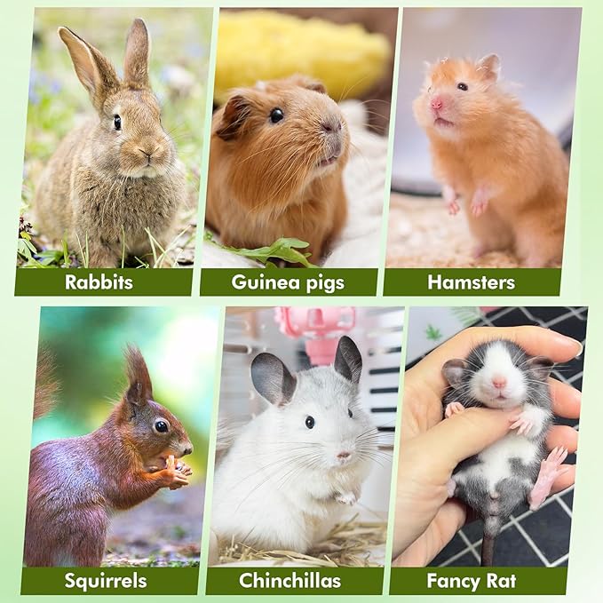 Abizoo Rabbits Chew Toys Organic Papaya Wood for Guinea Pigs Chinchillas Hamsters Small Animals Treats with Calendula Forget Me Nots and Alfalfa Hay Dental & Digestive Support No Additives 4.23oz/120g