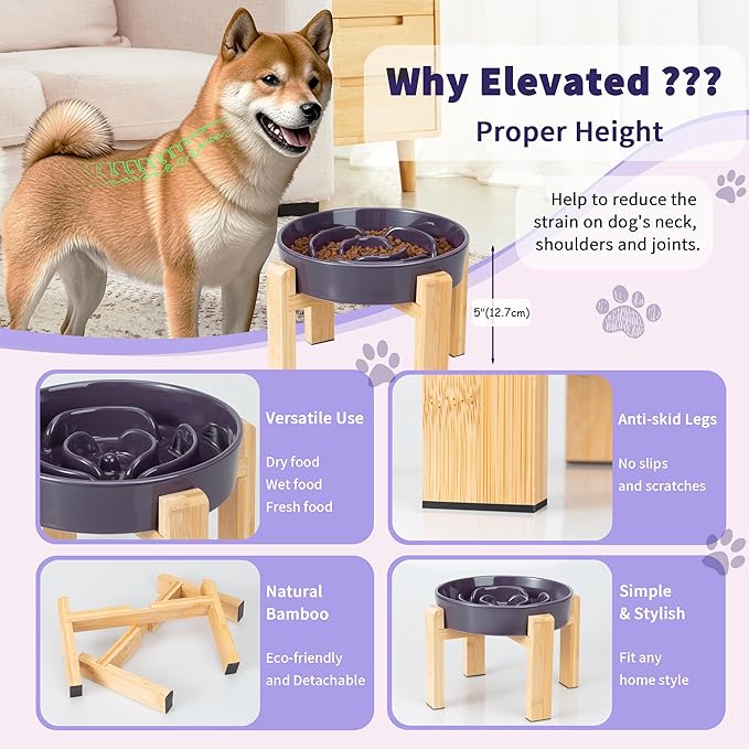 Elevated Slow Feeder Dog Bowl - Puzzle Maze Dish with Bamboo Stand - Raised Ceramic Food Bowl for Medium and Large Dogs - 8.8 Inch - Purple